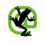 Screaming Frog logo for local seo expert in pakistan