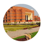 local seo in Bahauddin Zakariya University