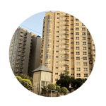 _local seo in Nazimabad