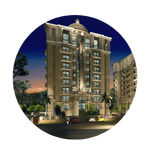 local seo in Shalimar Colony