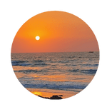 local seo in Umm Al Quwain