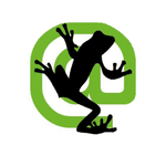 Screaming Frog logo for local seo expert in pakistan